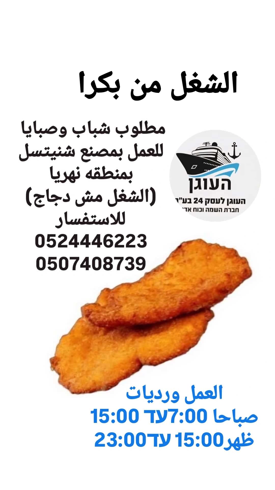 WhatsApp Image 2026-02-23 at 11.41